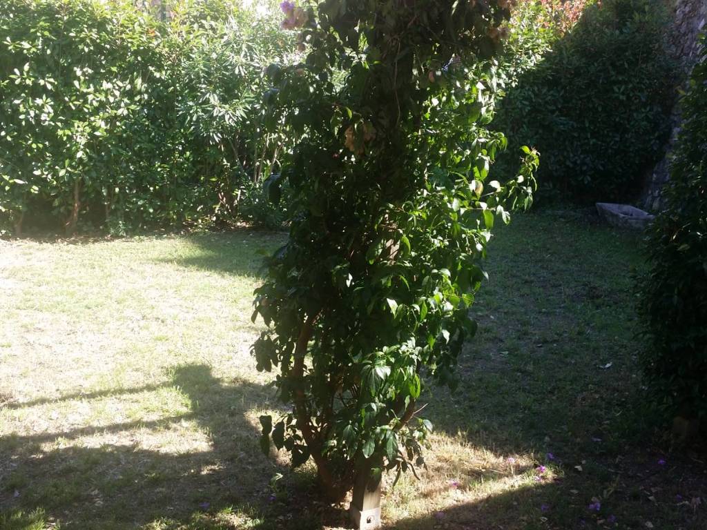 Villa a Lerici - Foto 3