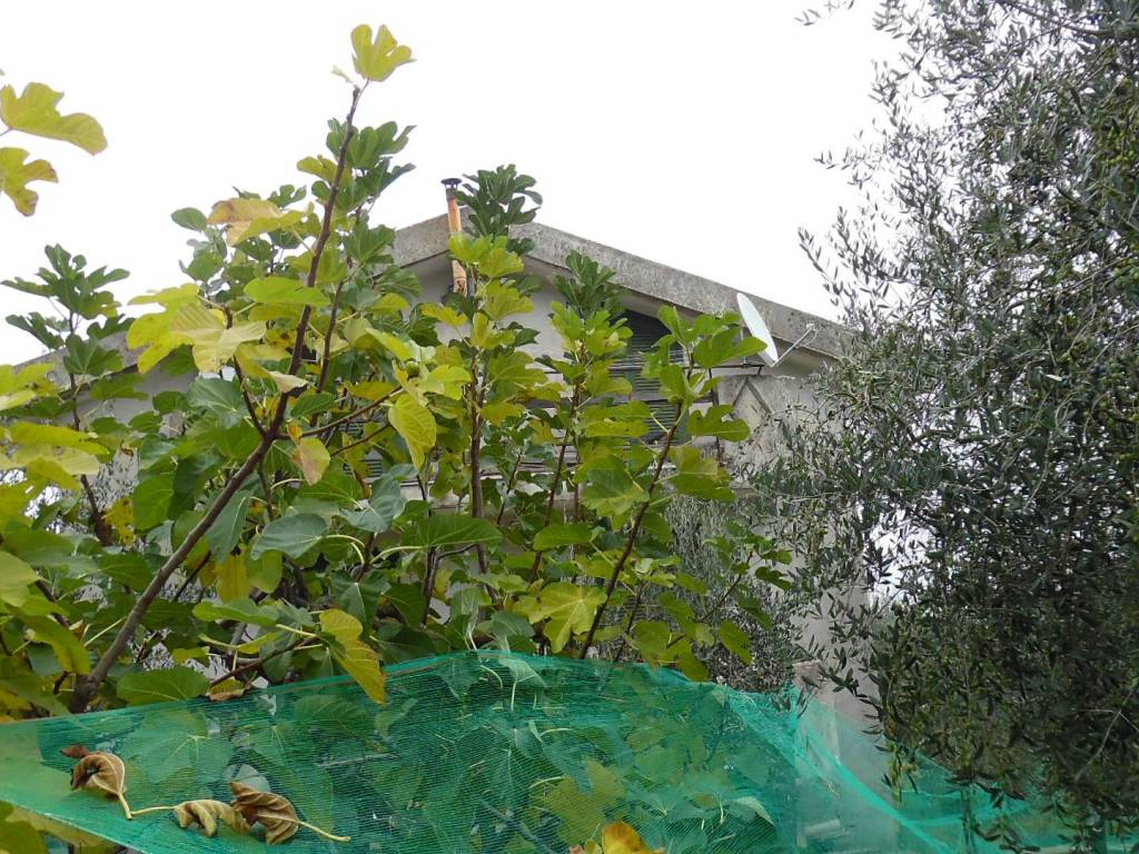 Casa indipendente a Calabritto - Foto 4