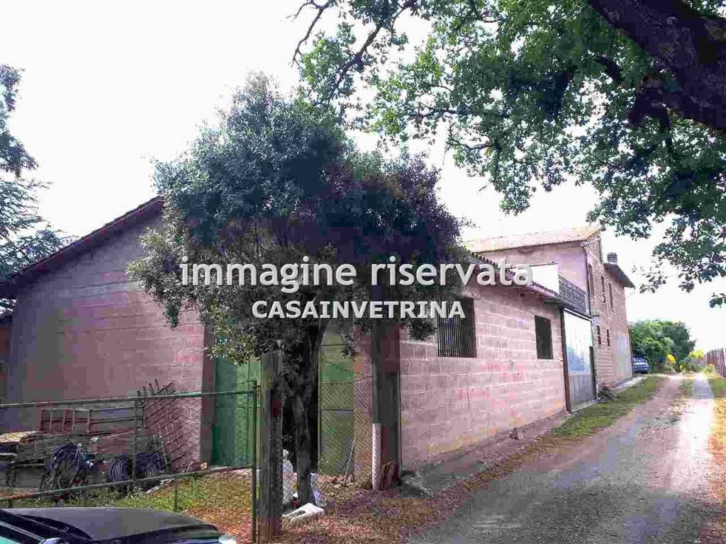 Villa a Cinigiano in VIA CASA MAZZI , - Foto 2