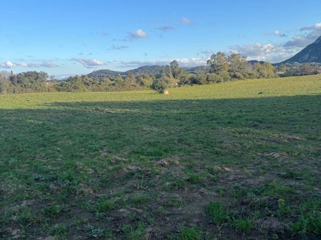 Terreno a Olbia in Via del Nuraghe, 36 - Foto 2