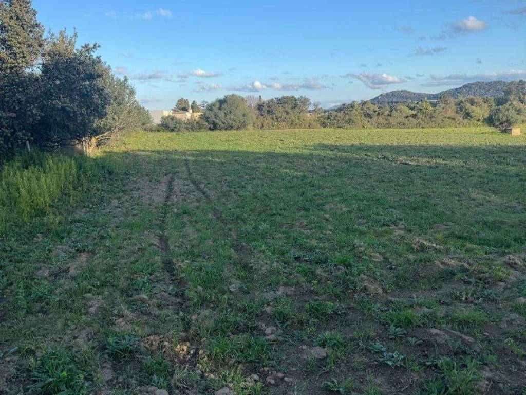 Terreno a Olbia in Via del Nuraghe, 36 - Foto 3