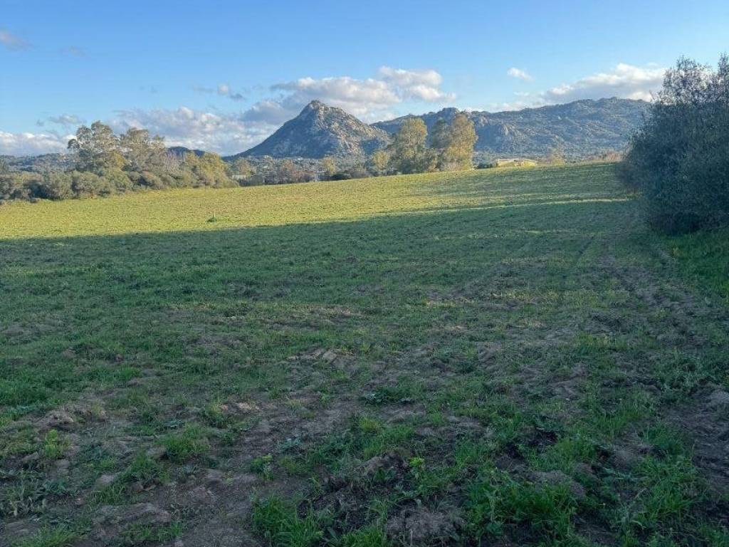 Terreno a Olbia in Via del Nuraghe, 36 - Foto 4