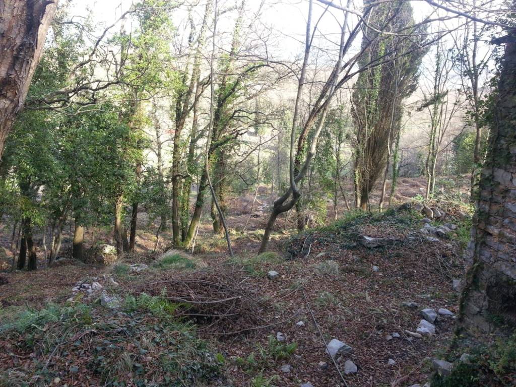 Rustico / casale a Lerici in Località Rocchetta - Foto 3