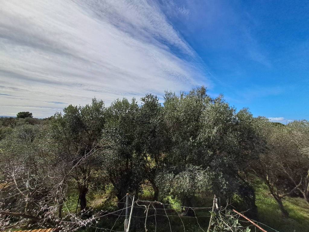 Villa a Sassari in Via Giuseppe De Martini, 244 - Foto 5