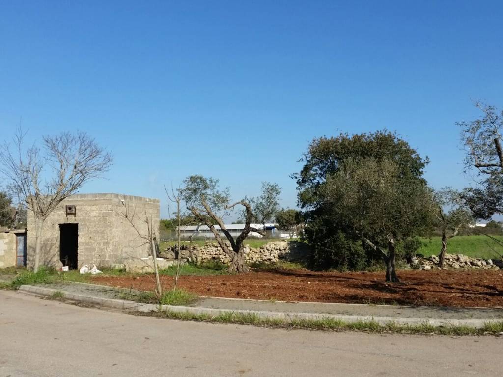 Rustico / casale a Corsano in zona industriale - Foto 4