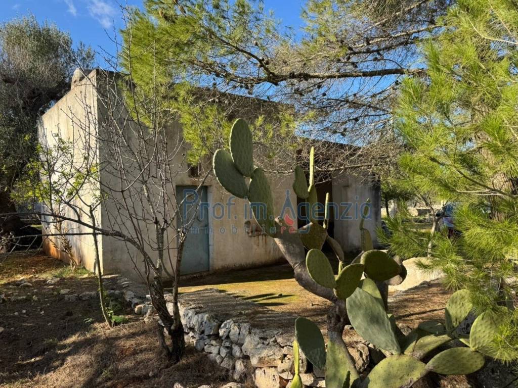 Rustico / casale a Ostuni - Foto 3