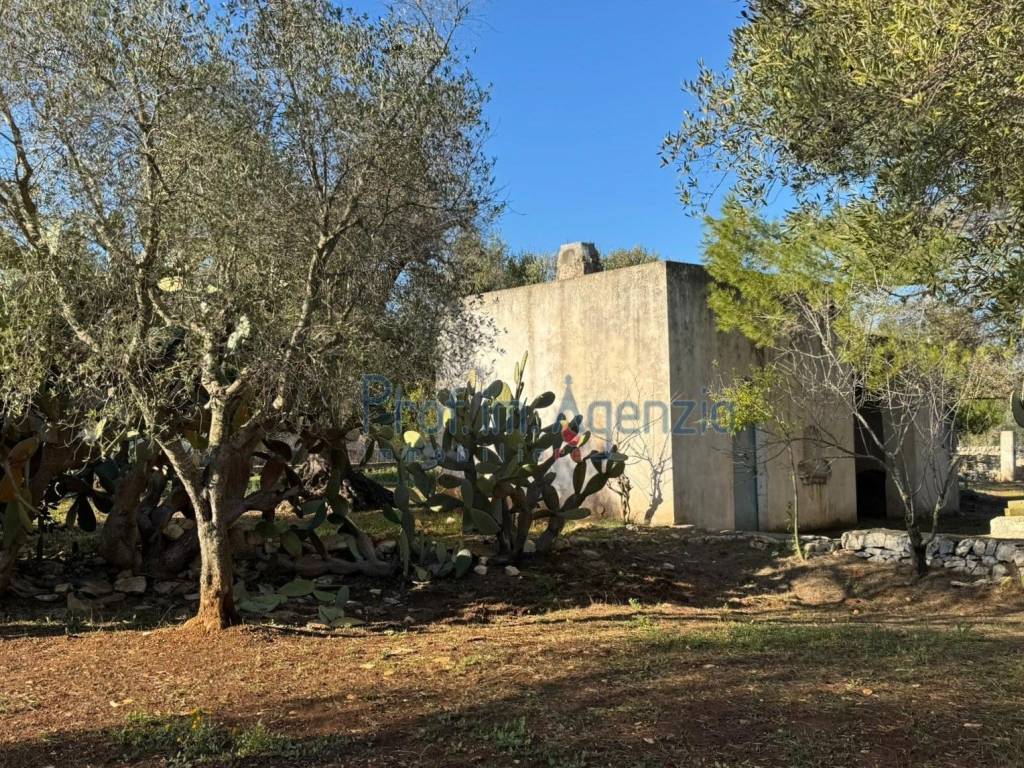 Rustico / casale a Ostuni - Foto 5