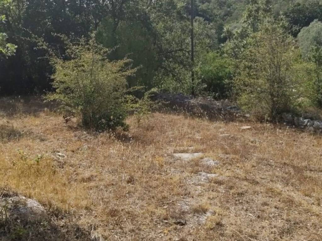 Rustico / casale a Ceglie messapica - Foto 4