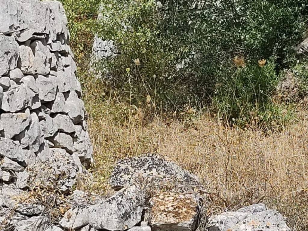 Rustico / casale a Ceglie messapica - Foto 5