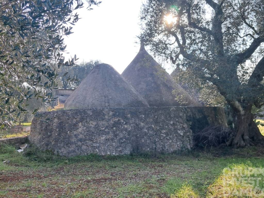 Rustico / casale a Ceglie messapica in contrada circiello - Foto 5