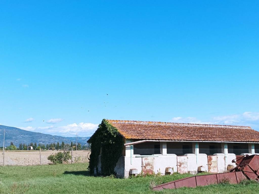 Rustico / casale a Cannara in Via Sant'Angelo - Foto 3