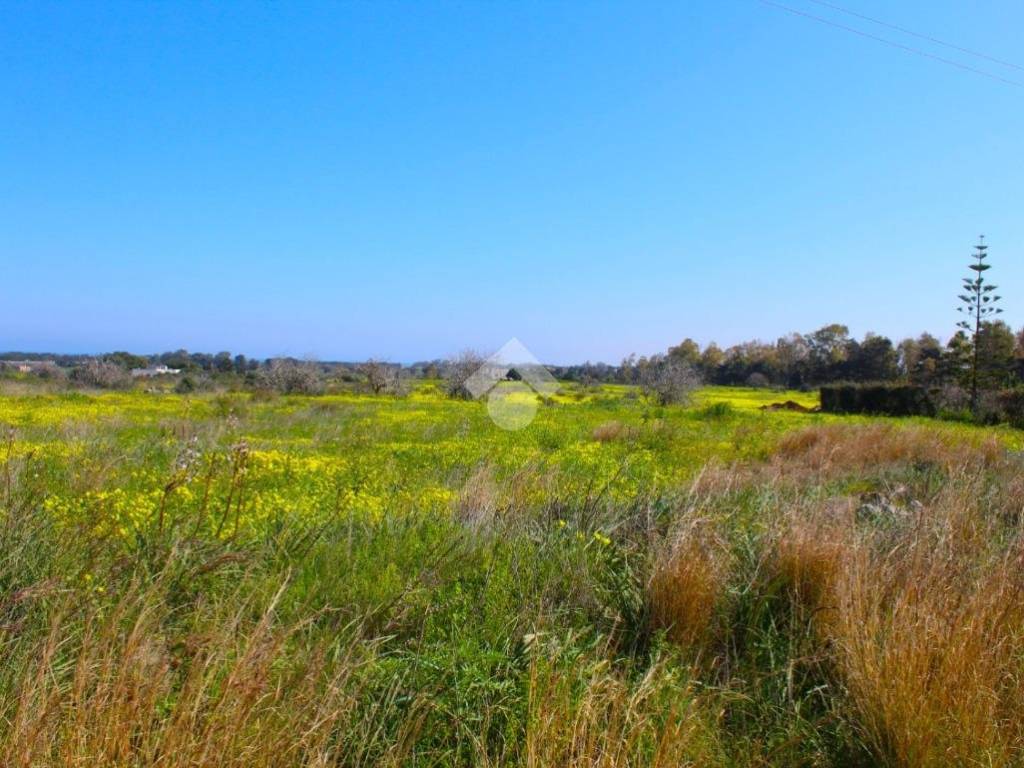 Terreno a Carovigno in Contrada Scianolecchia - Foto 4