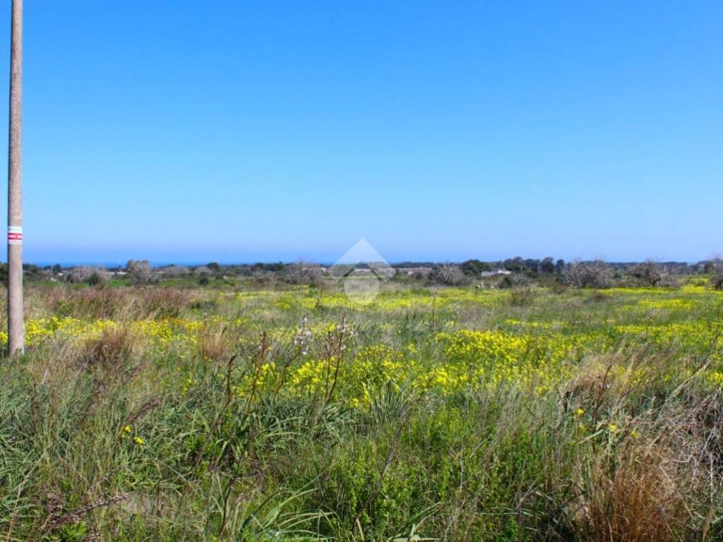 Terreno a Carovigno in Contrada Scianolecchia - Foto 5
