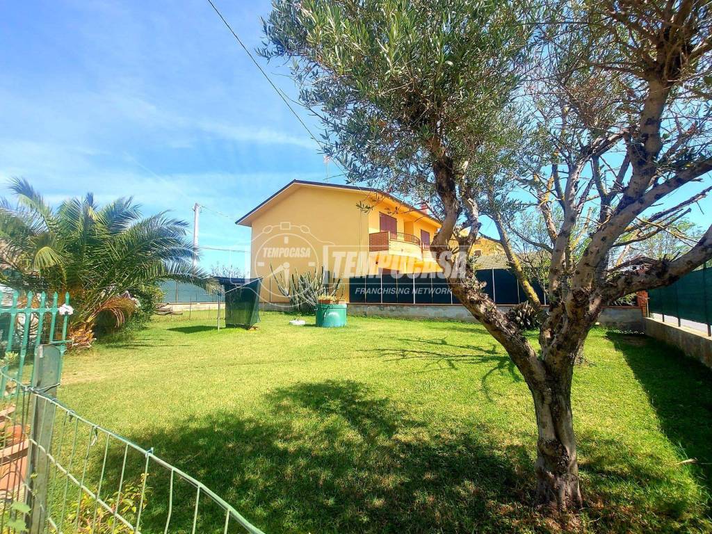 Casa indipendente a Castelfidardo - Foto 4