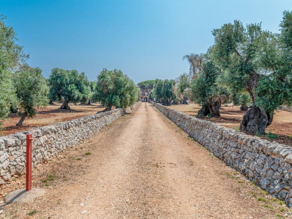 Rustico / casale a Ostuni - Foto 4