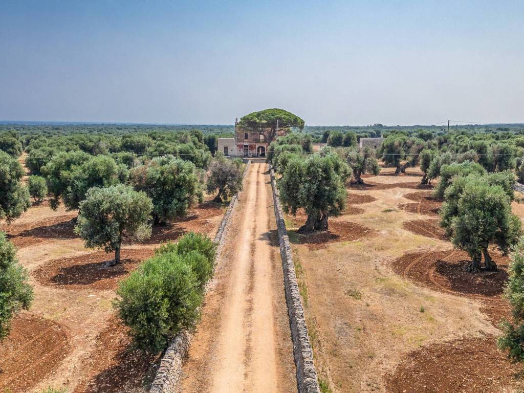 Rustico / casale a Ostuni - Foto 5