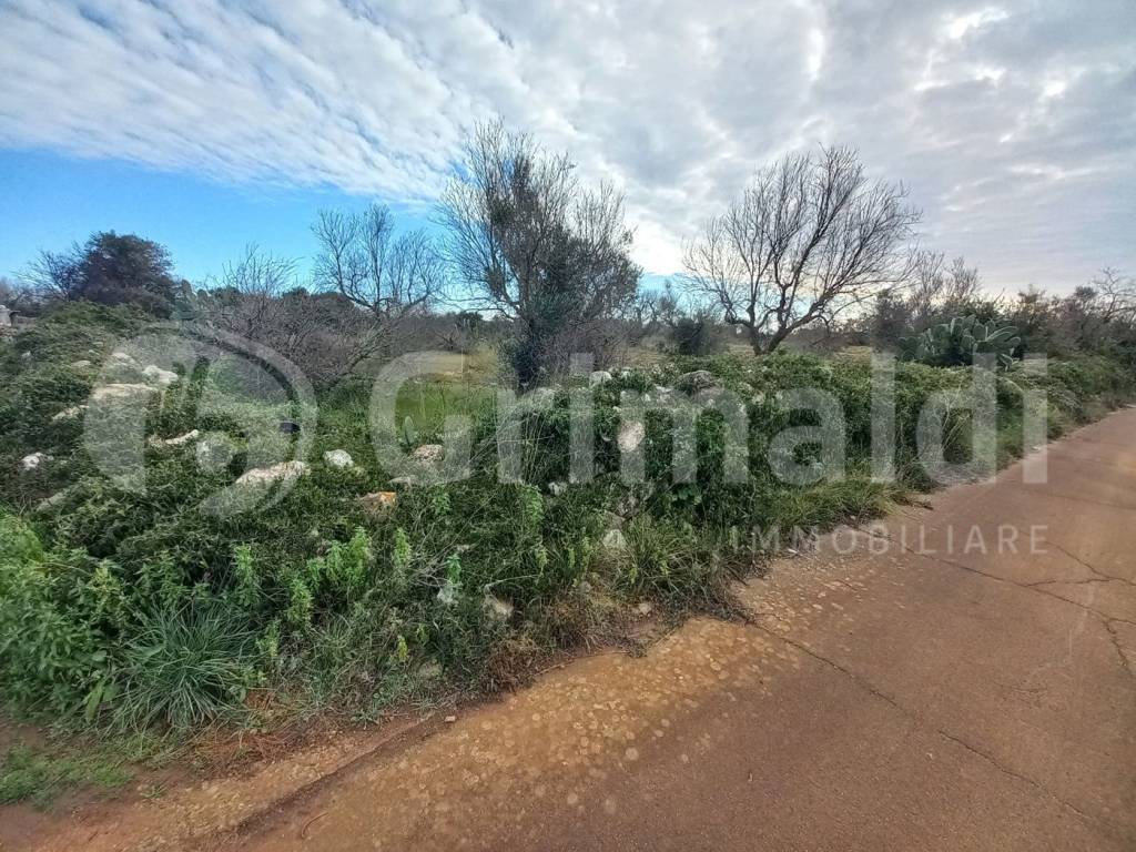 Terreno a Presicce-acquarica in SP 76, 10 - Foto 2