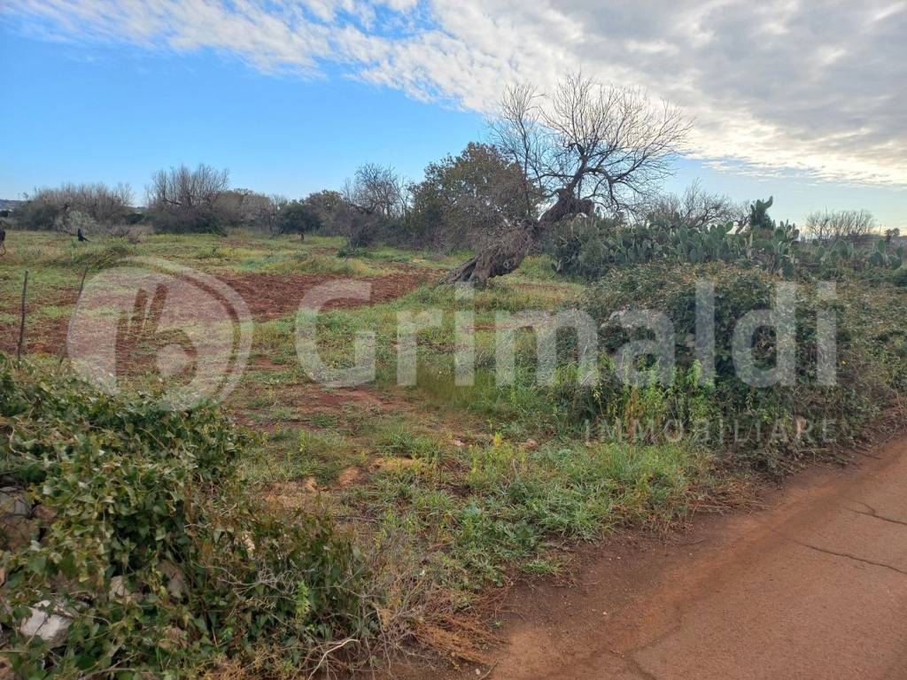Terreno a Presicce-acquarica in SP 76, 10 - Foto 3