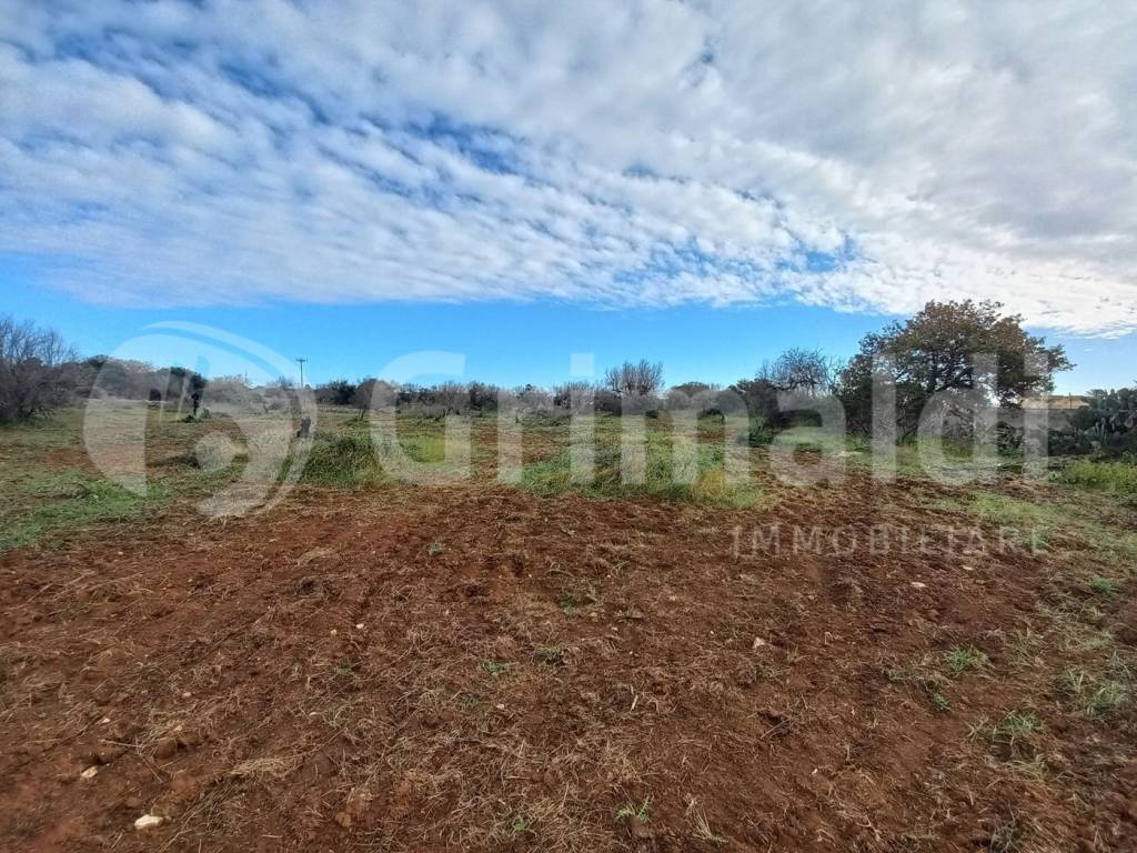 Terreno a Presicce-acquarica in SP 76, 10 - Foto 5