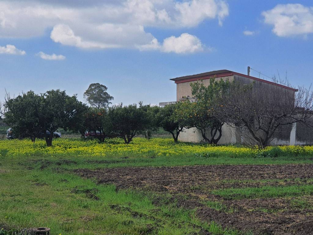 Terreno a Eboli in Via Prato - Foto 2
