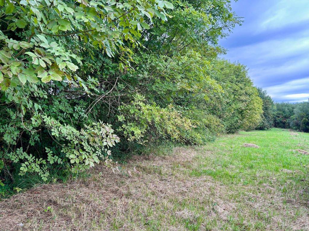 Terreno a Fucecchio in Massarella - Foto 2