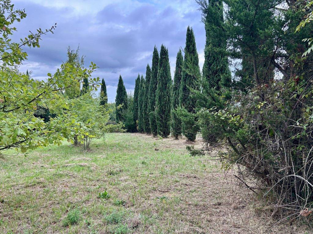Terreno a Fucecchio in Massarella - Foto 3