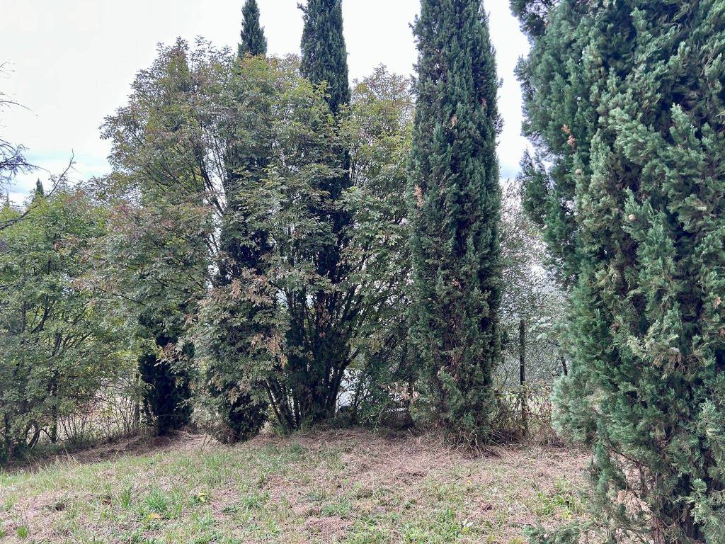 Terreno a Fucecchio in Massarella - Foto 4