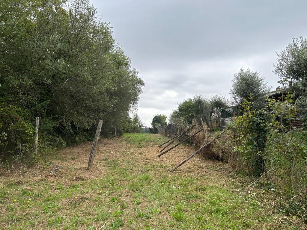 Terreno a Fucecchio in Massarella - Foto 5