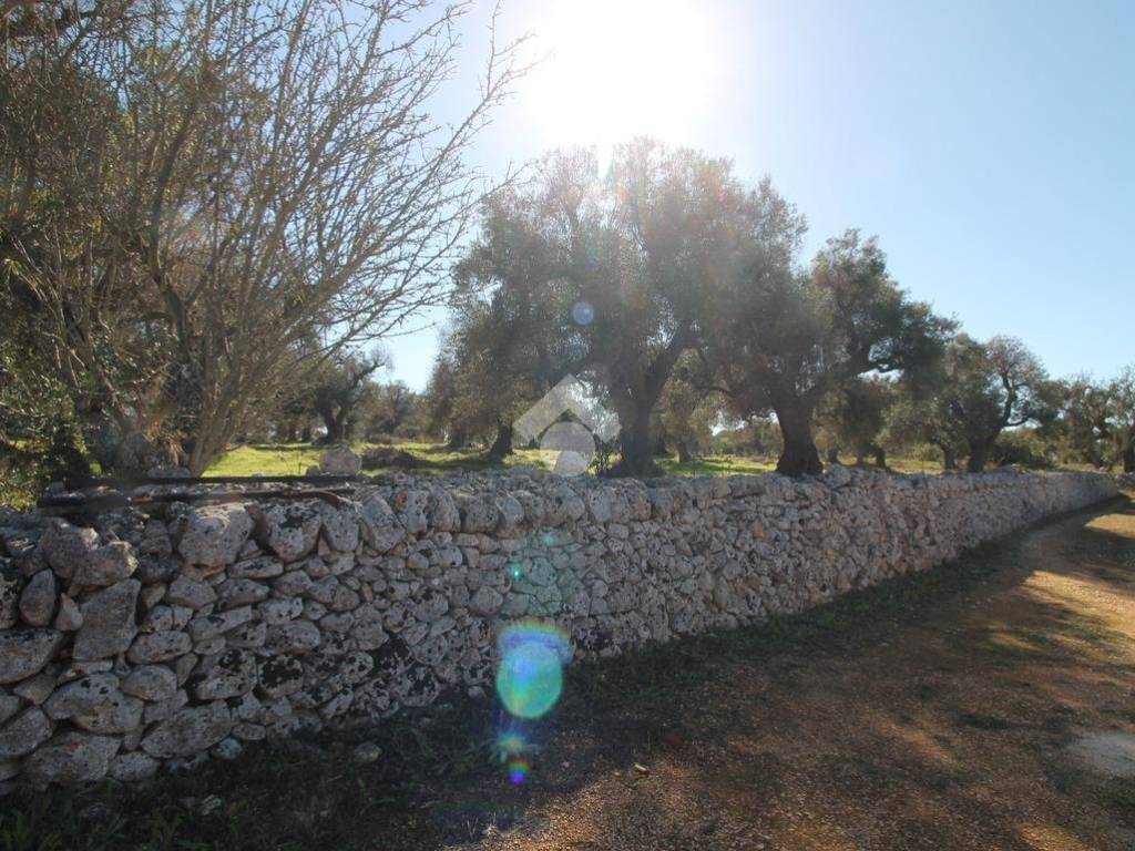 Rustico / casale a Ostuni - Foto 3