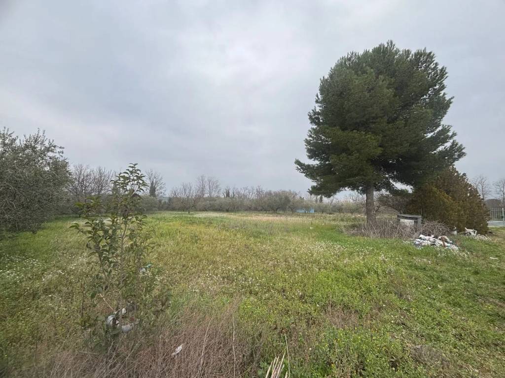 Terreno a Cepagatti in Via Aurora No Number - Foto 2