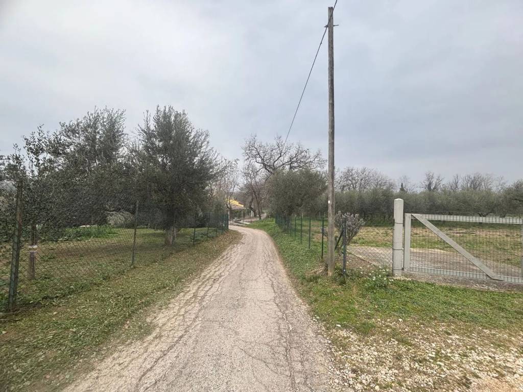 Terreno a Cepagatti in Via Aurora No Number - Foto 3