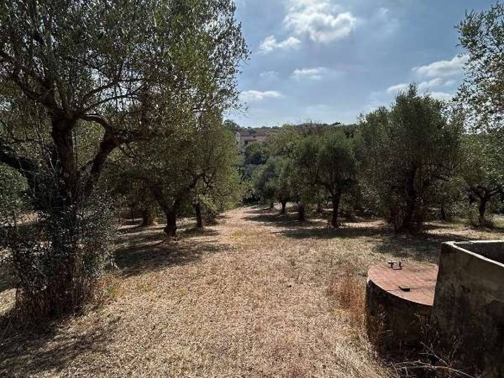Terreno a Lanuvio in Via Astura - Foto 2