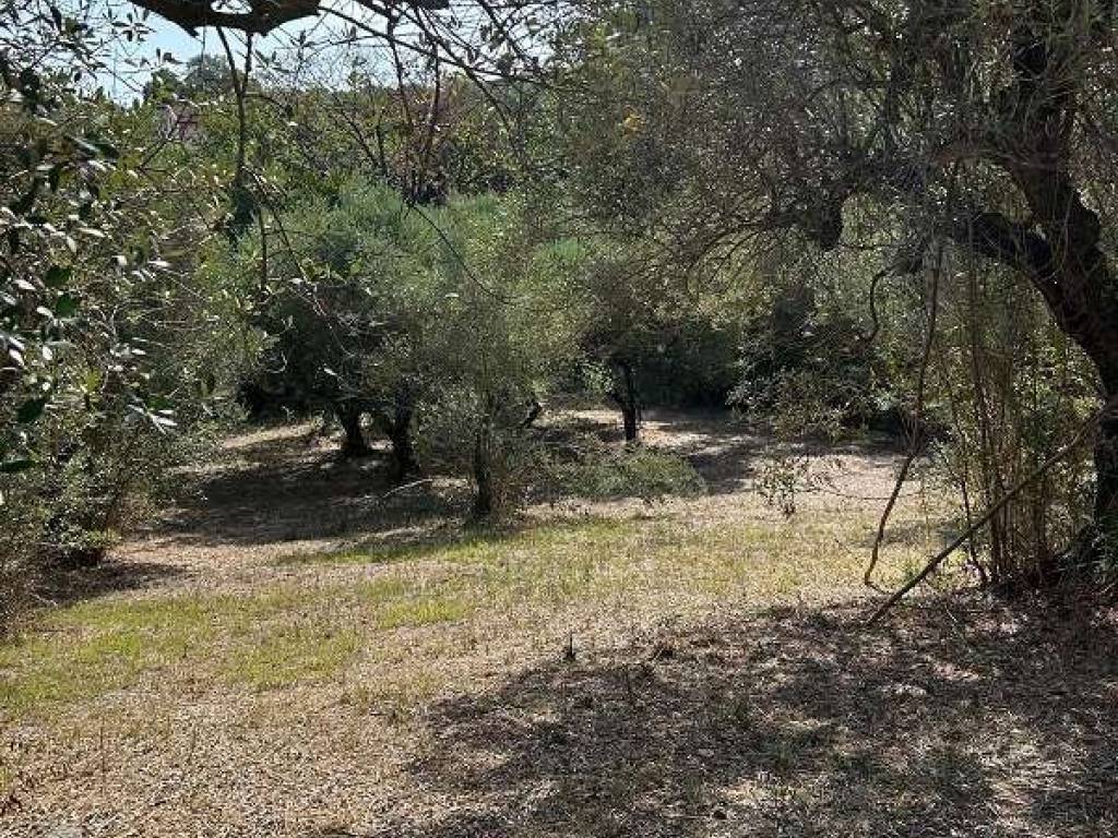 Terreno a Lanuvio in Via Astura - Foto 3