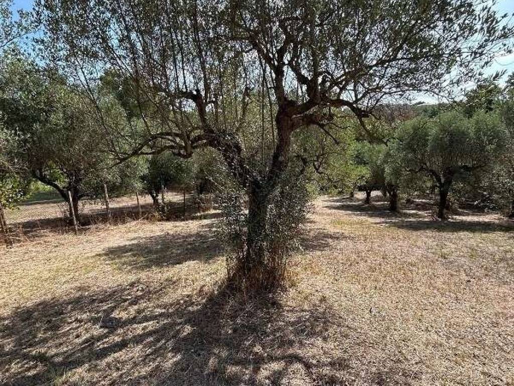 Terreno a Lanuvio in Via Astura - Foto 4
