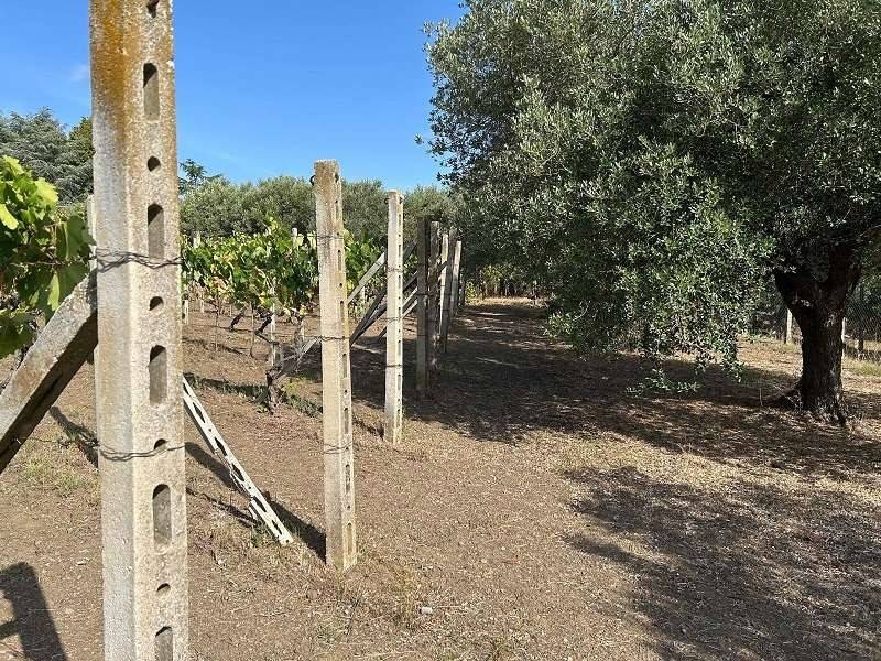 Terreno a Lanuvio in Via Astura - Foto 4