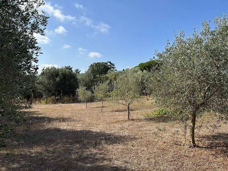 Terreno a Lanuvio in Via Astura - Foto 5