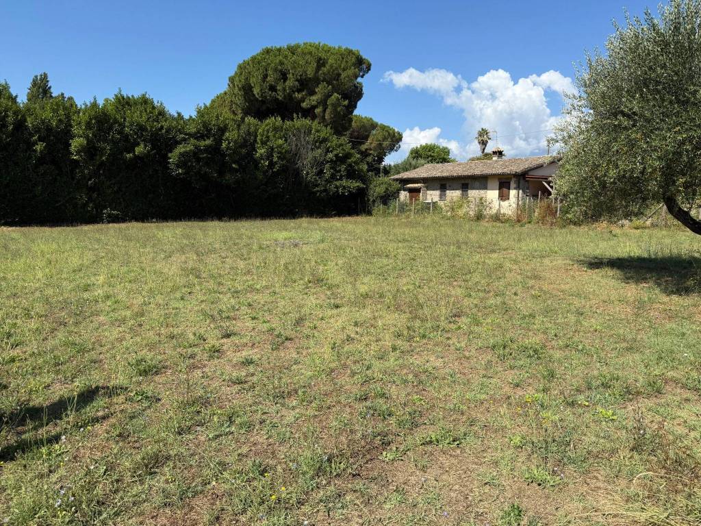 Terreno a Trevignano romano in Via del Pianoro - Foto 4