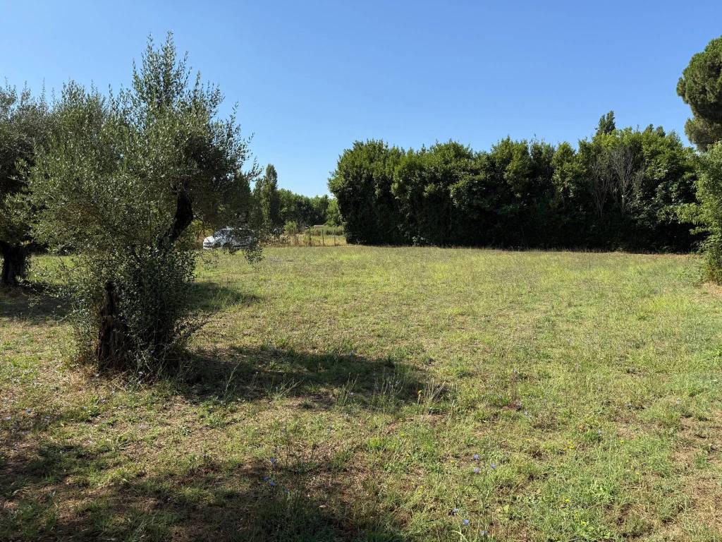 Terreno a Trevignano romano in Via del Pianoro - Foto 5