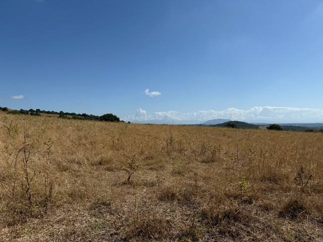 Terreno a Trevignano romano in Via Fonte della Tartaruga - Foto 2