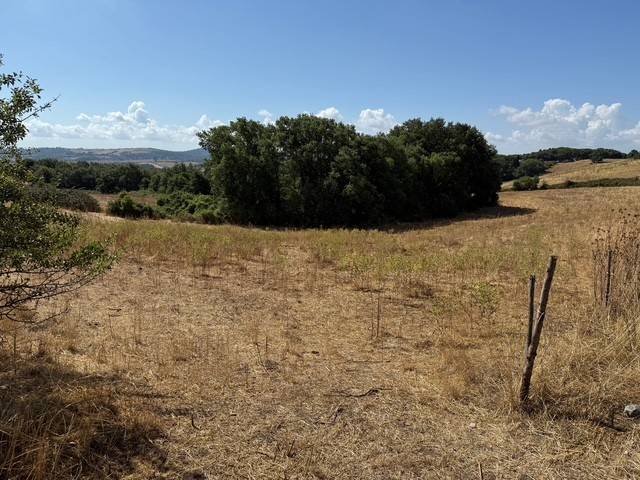 Terreno a Trevignano romano in Via Fonte della Tartaruga - Foto 3