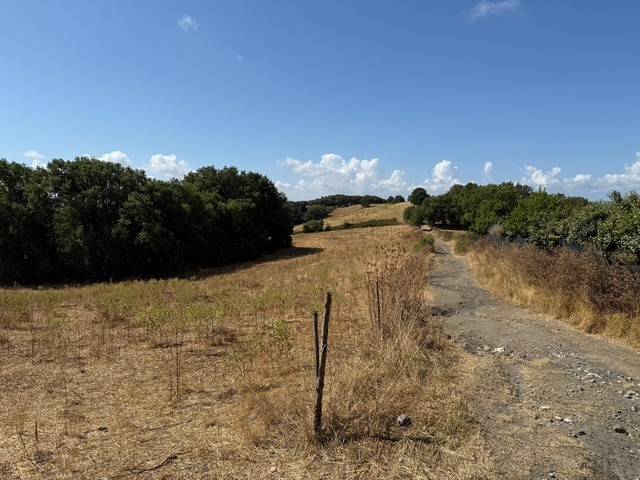 Terreno a Trevignano romano in Via Fonte della Tartaruga - Foto 4