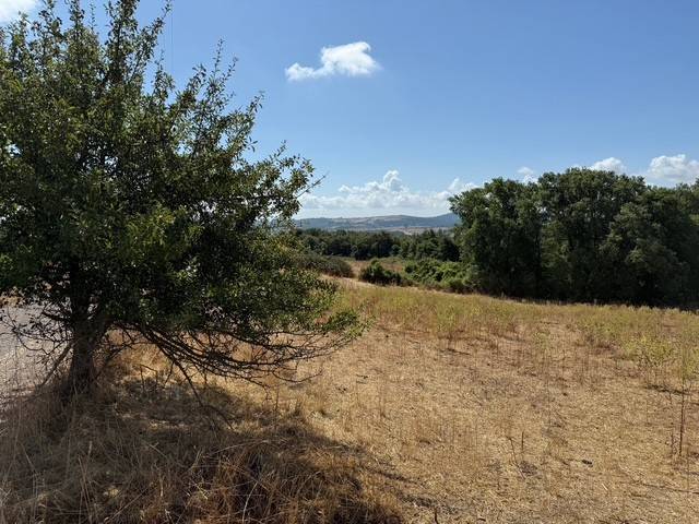 Terreno a Trevignano romano in Via Fonte della Tartaruga - Foto 5