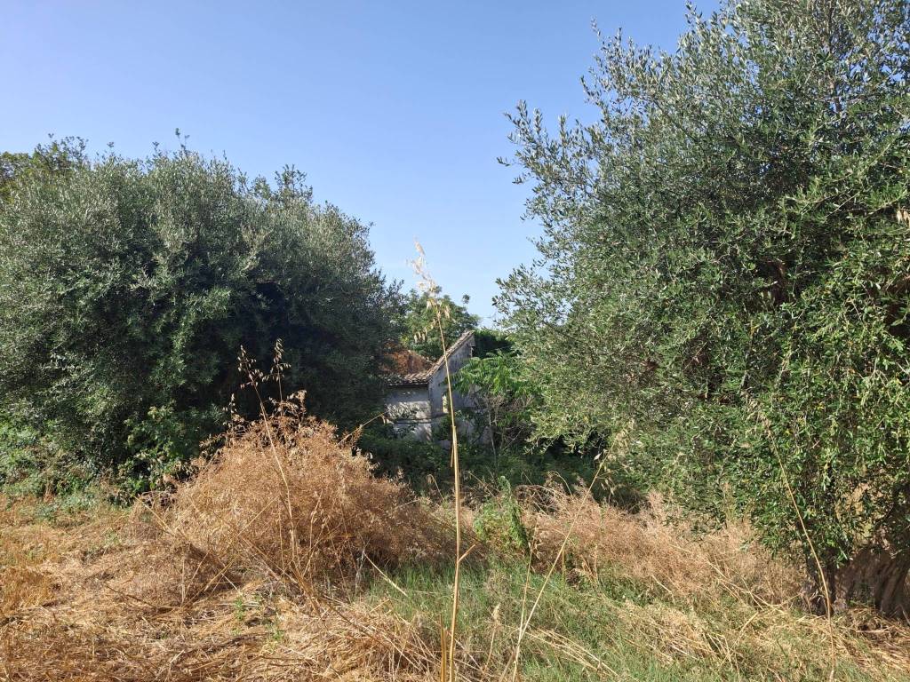 Rustico / casale a Civitanova marche in C.da Mornano - Foto 3