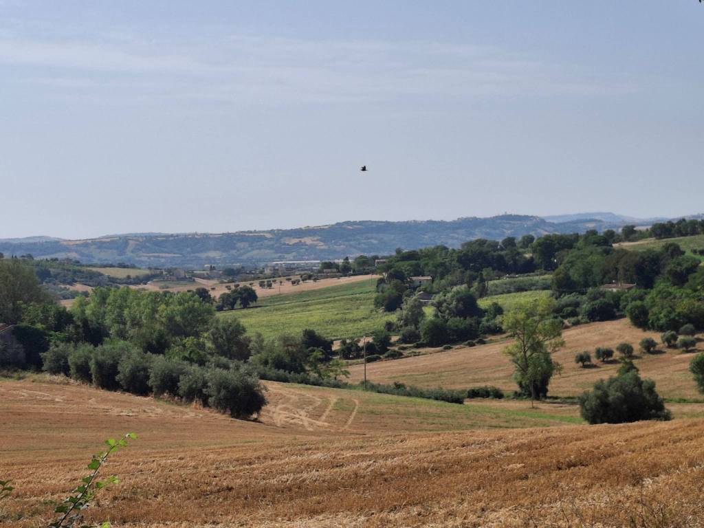Rustico / casale a Civitanova marche in C.da Mornano - Foto 4