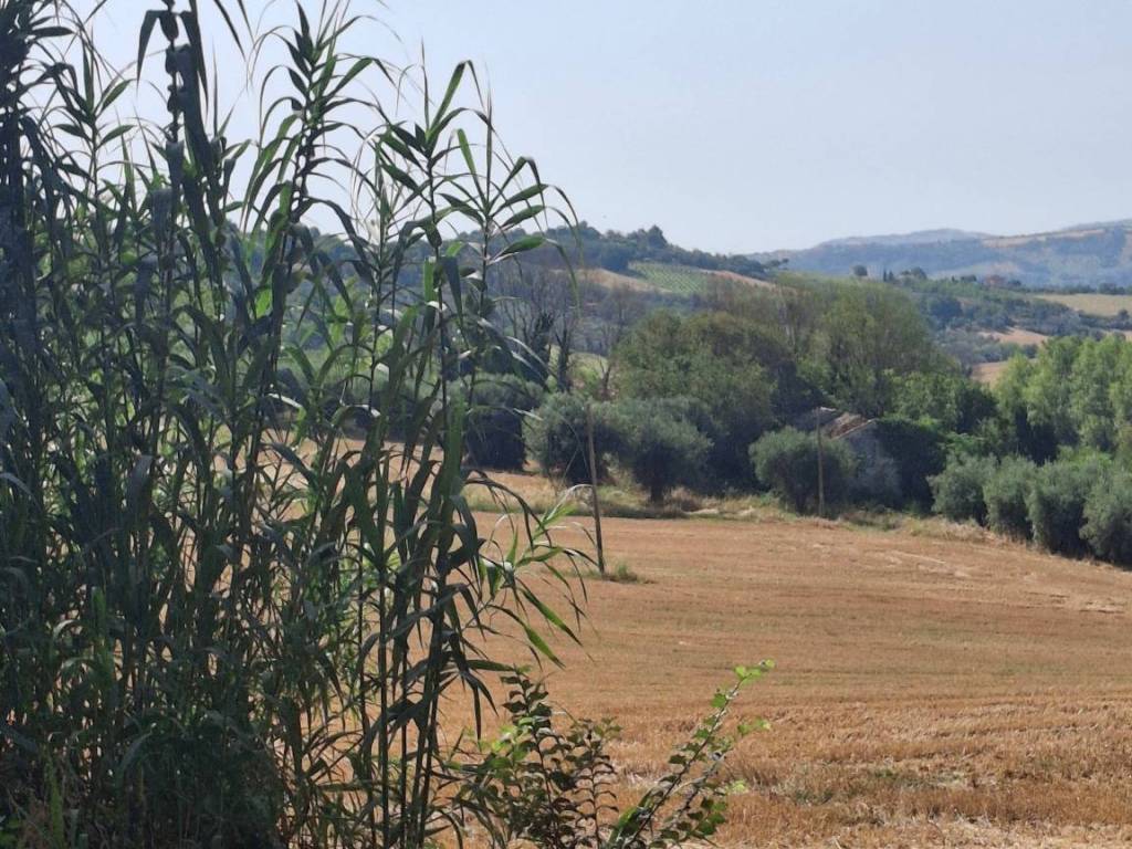 Rustico / casale a Civitanova marche in C.da Mornano - Foto 5