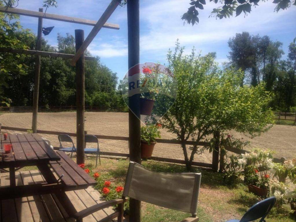 Rustico / casale a Varallo pombia - Foto 2