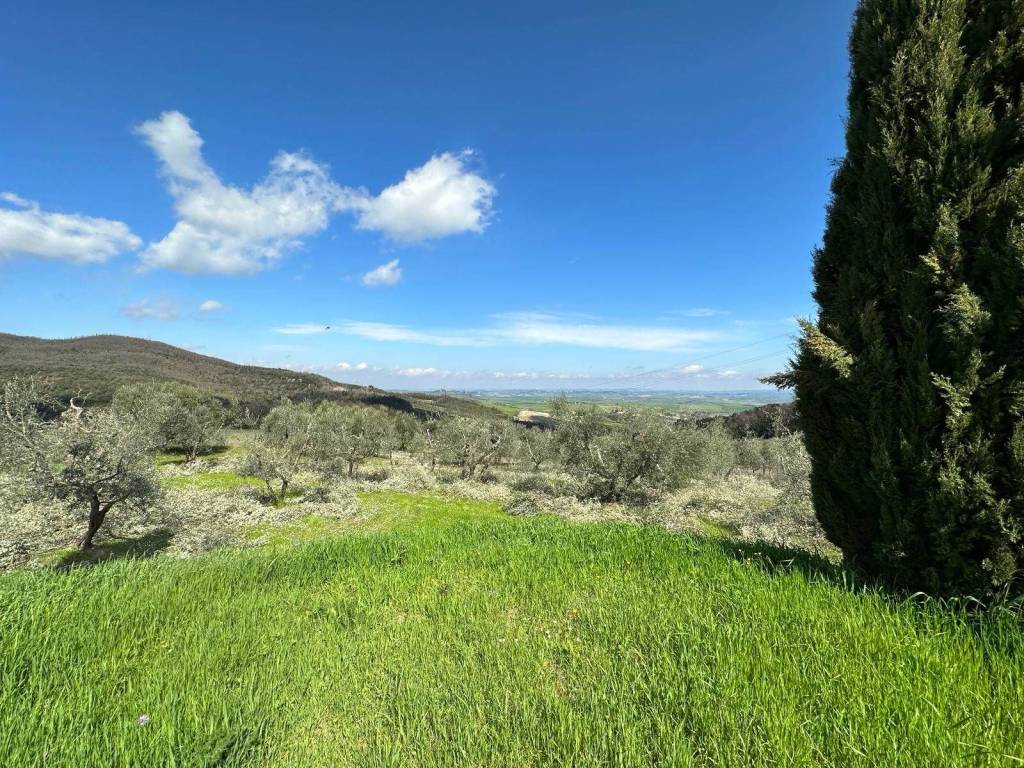 Villa a Montecatini val di cecina - Foto 3