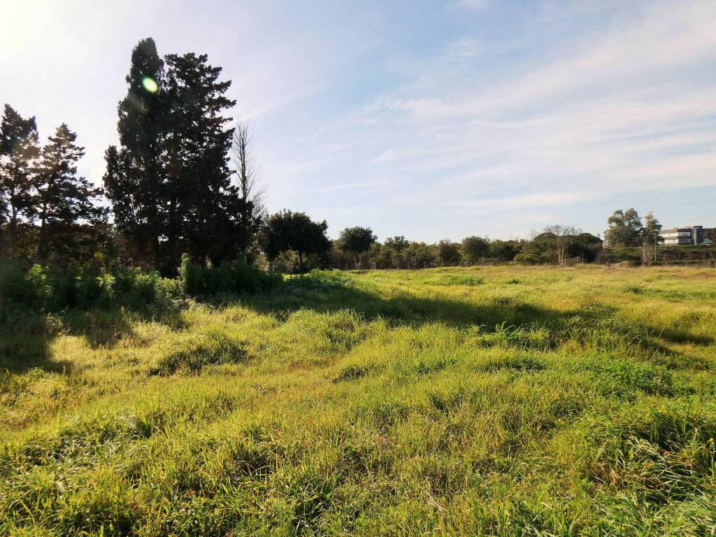 Terreno a Lecce - Foto 5