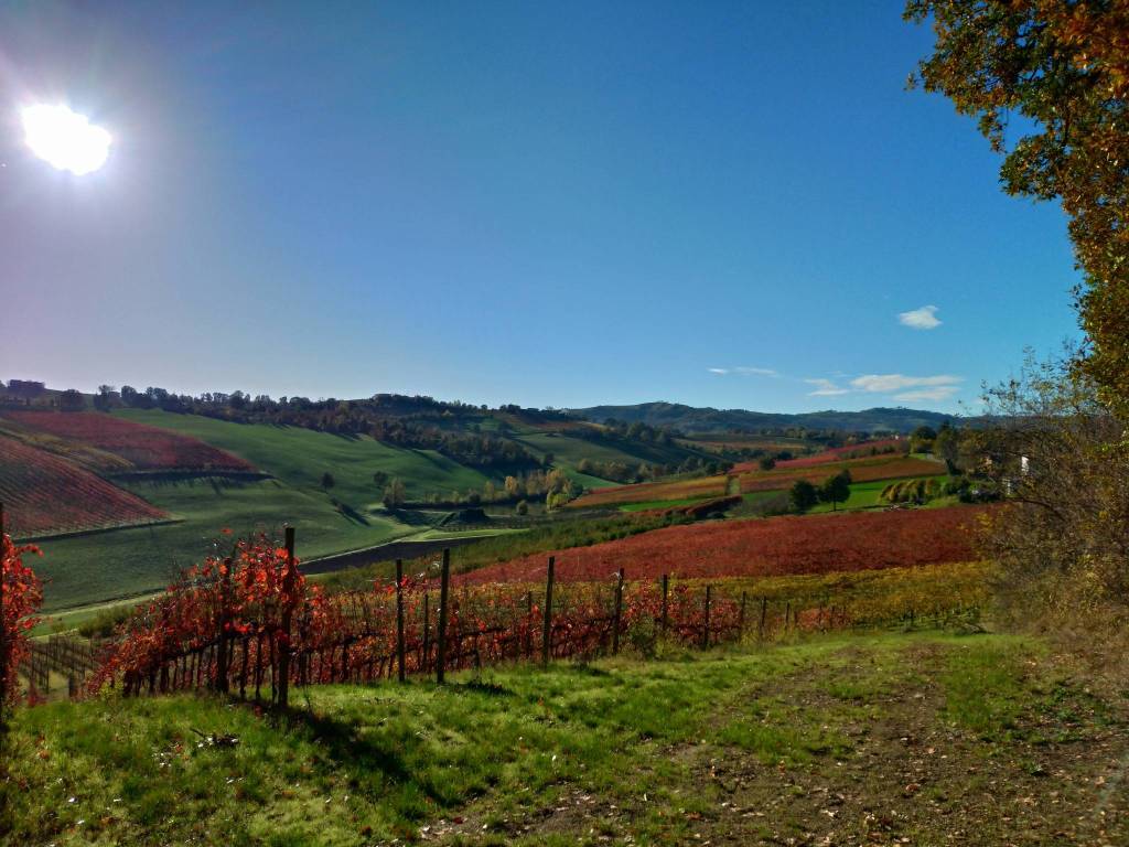 Rustico / casale a Castelvetro di modena in Via Poggio - Foto 3