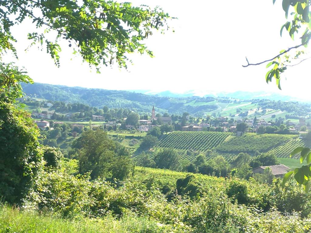 Rustico / casale a Castelvetro di modena in Via Poggio - Foto 4